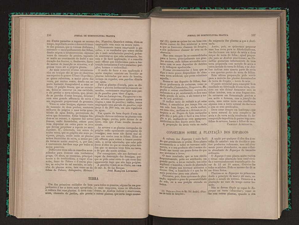Jornal de horticultura prtica X 91