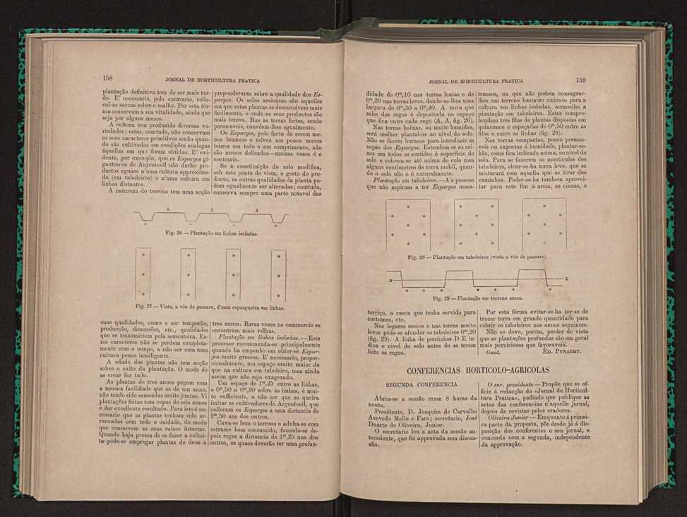 Jornal de horticultura prtica X 92