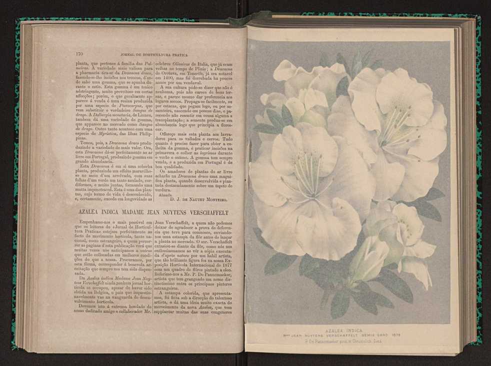 Jornal de horticultura prtica X 98