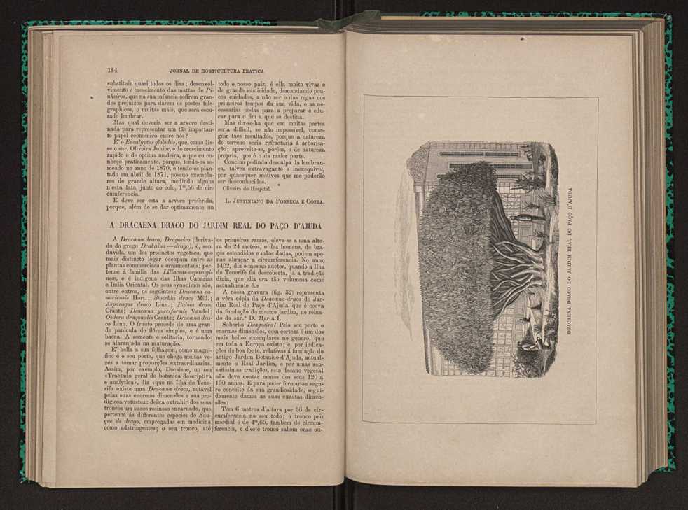 Jornal de horticultura prtica X 107