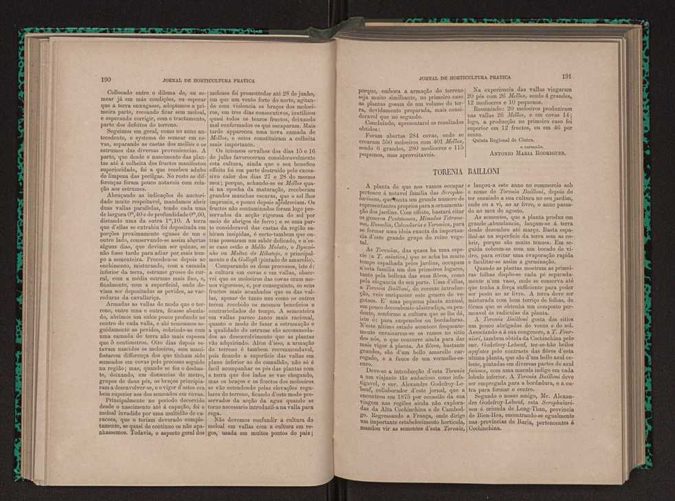 Jornal de horticultura prtica X 111