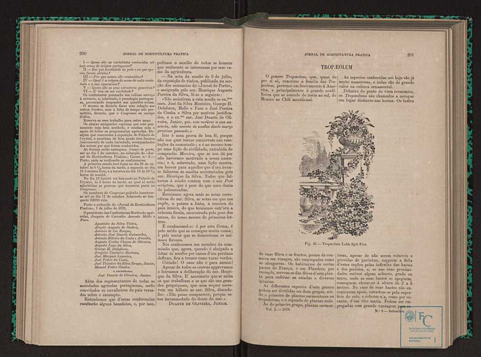 Jornal de horticultura prtica X 116