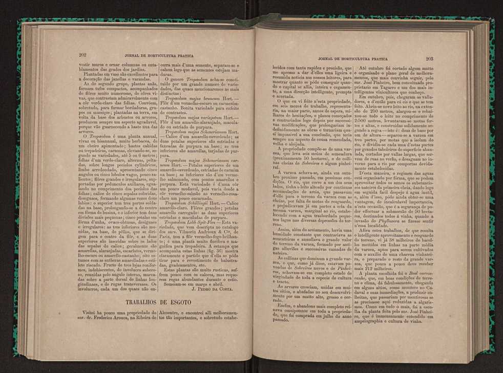 Jornal de horticultura prtica X 117