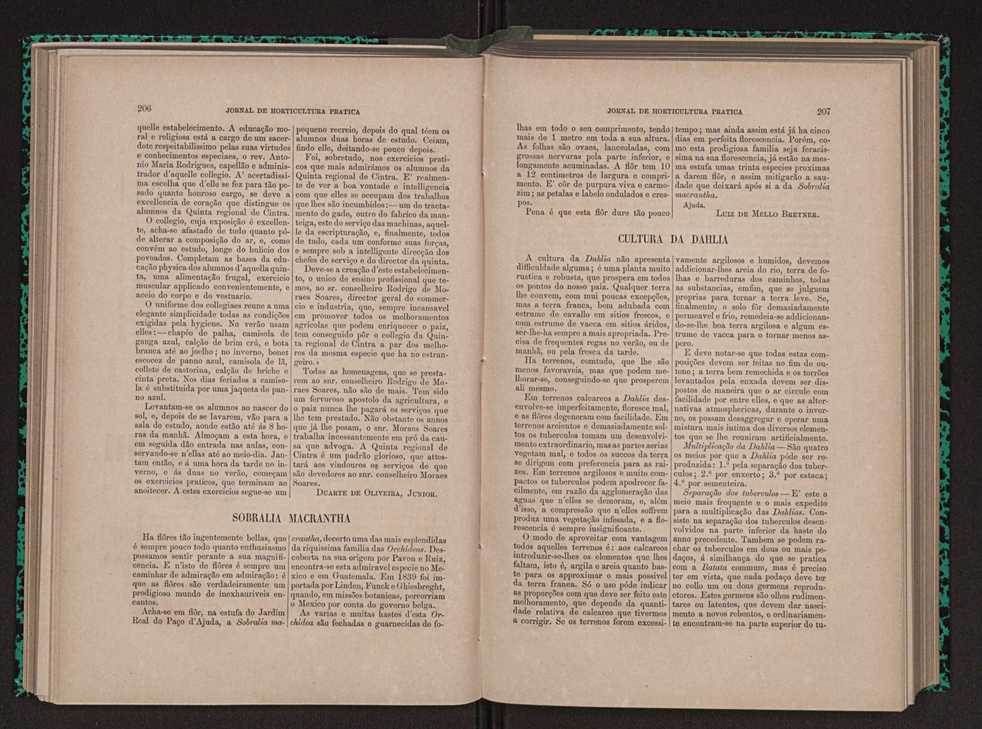 Jornal de horticultura prtica X 119