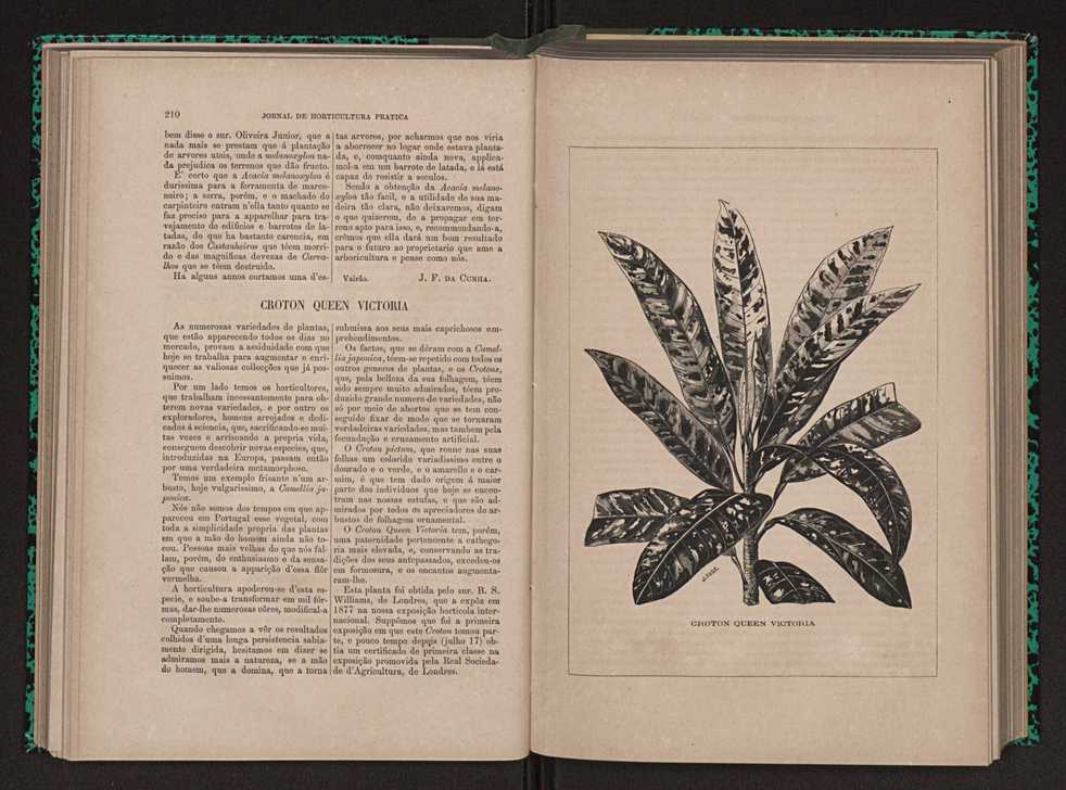 Jornal de horticultura prtica X 121