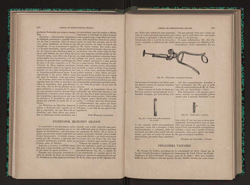 Jornal de horticultura prtica X 124