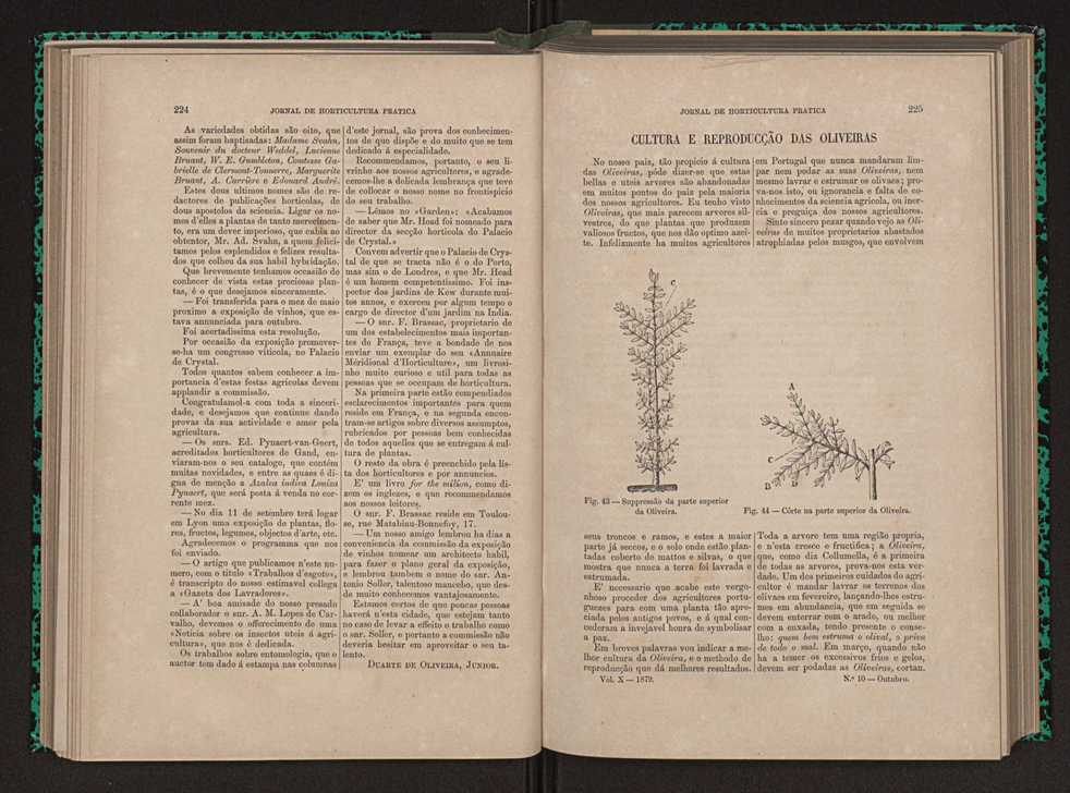 Jornal de horticultura prtica X 129