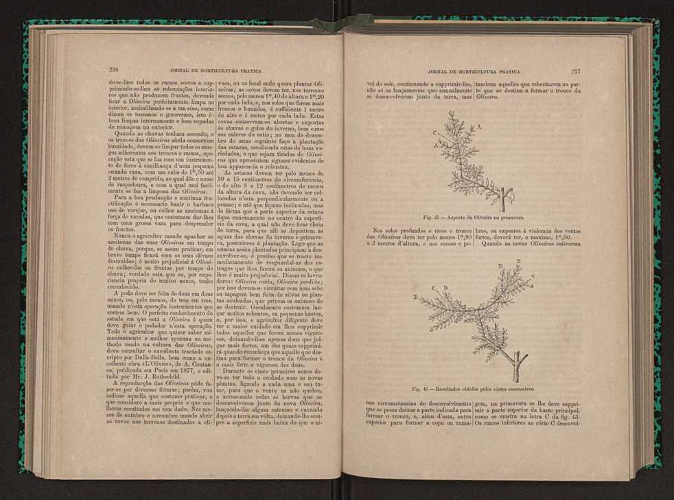 Jornal de horticultura prtica X 130