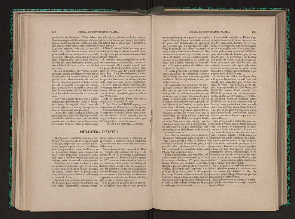 Jornal de horticultura prtica X 133