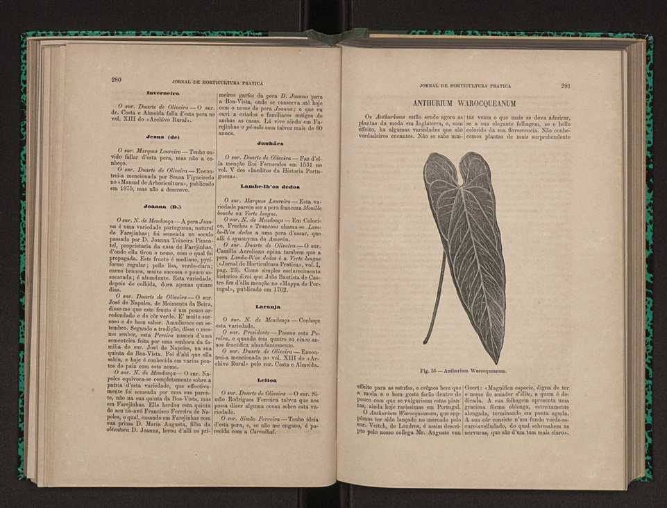 Jornal de horticultura prtica X 157