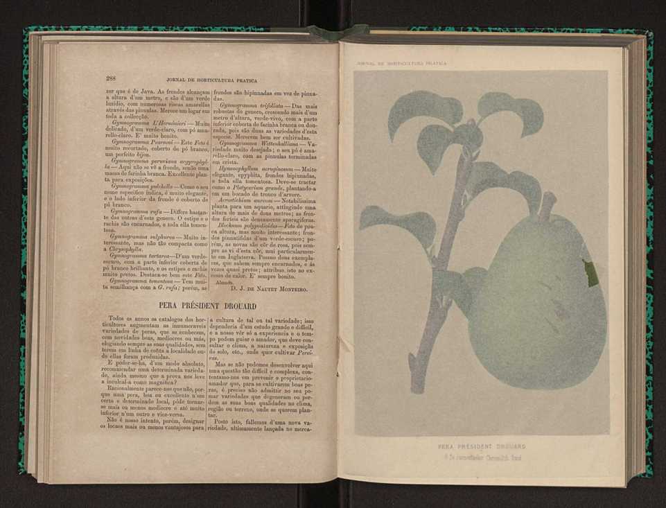 Jornal de horticultura prtica X 161