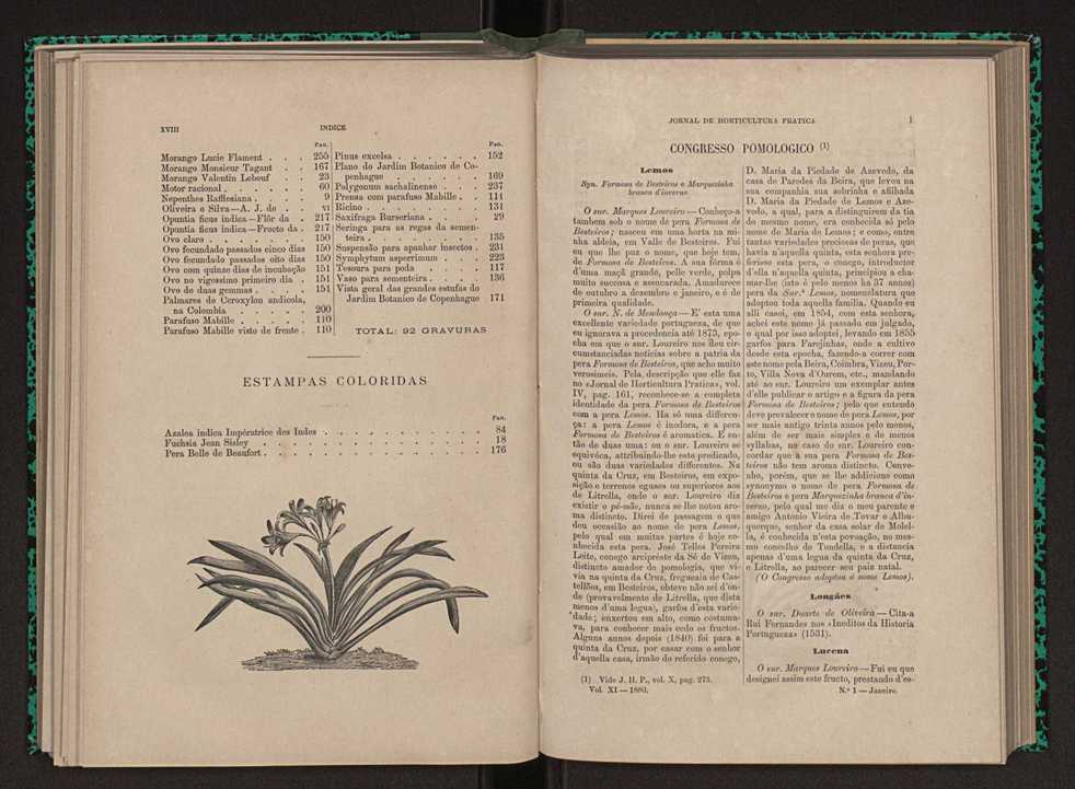 Jornal de horticultura pr�tica XI 11