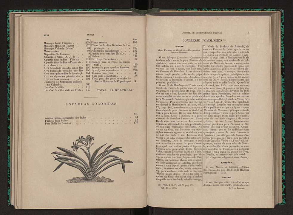 Jornal de horticultura prtica XI 11