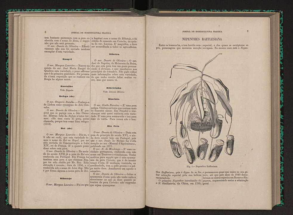 Jornal de horticultura prtica XI 15