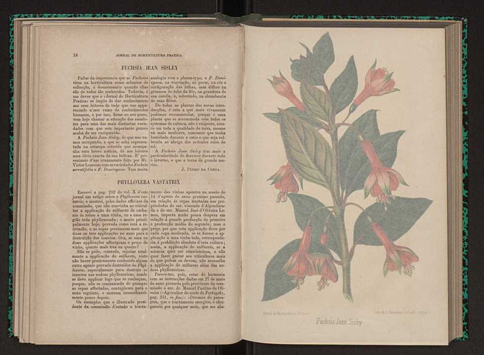 Jornal de horticultura prtica XI 20