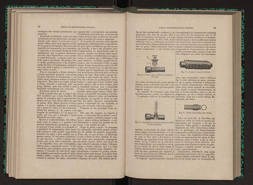 Jornal de horticultura prtica XI 30