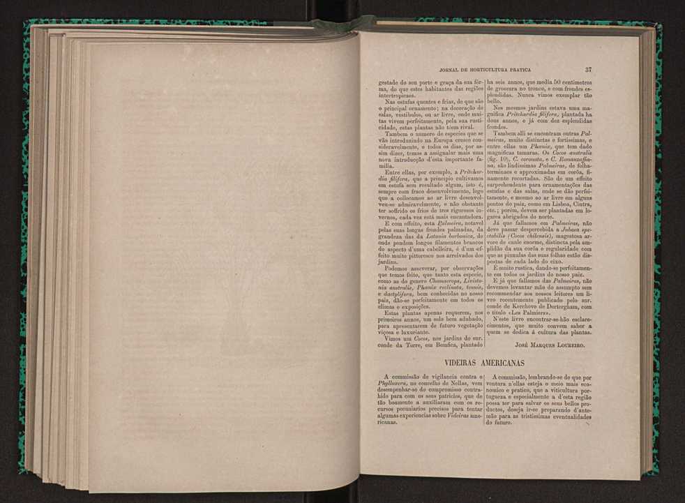 Jornal de horticultura prtica XI 32