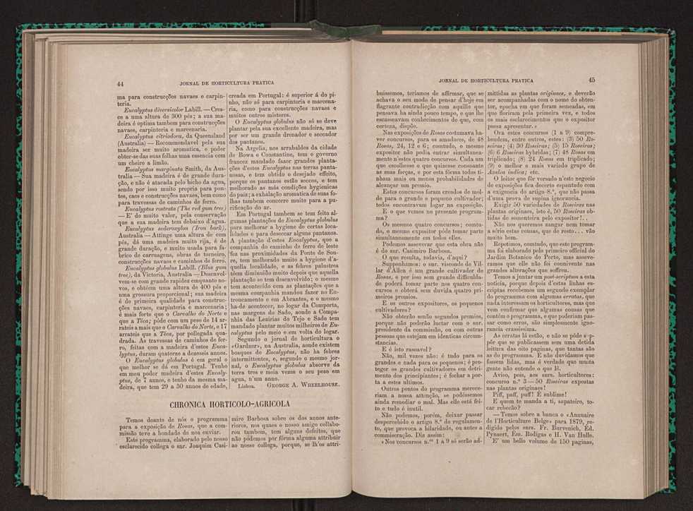 Jornal de horticultura prtica XI 36