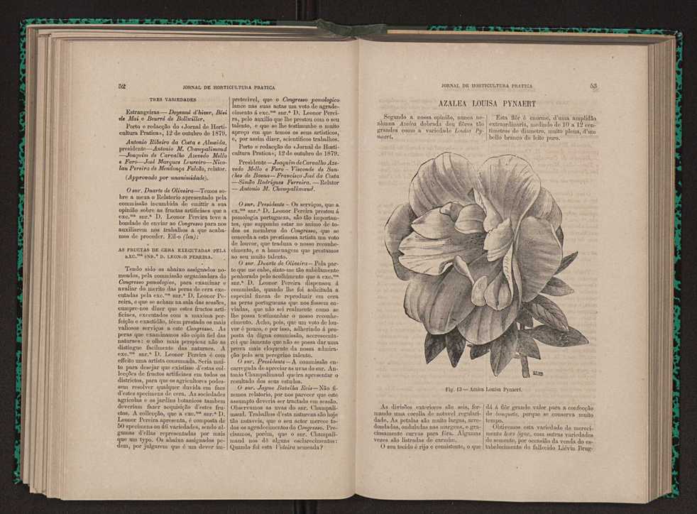 Jornal de horticultura prtica XI 40