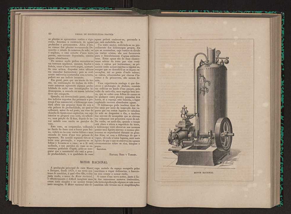 Jornal de horticultura prtica XI 44