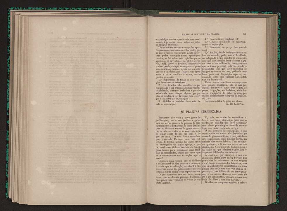 Jornal de horticultura prtica XI 45