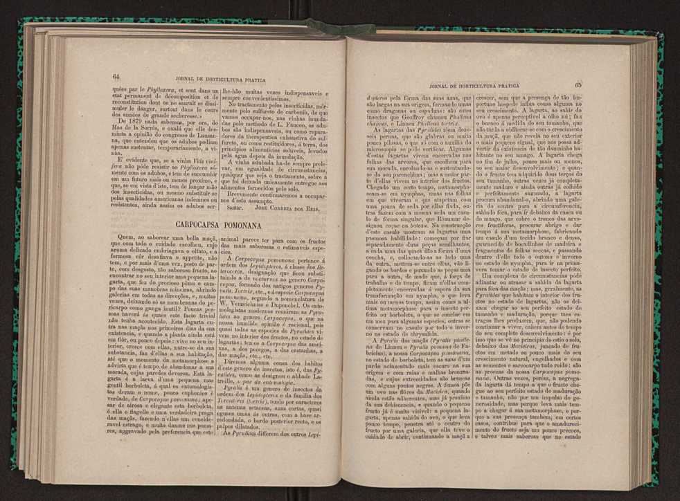 Jornal de horticultura prtica XI 47