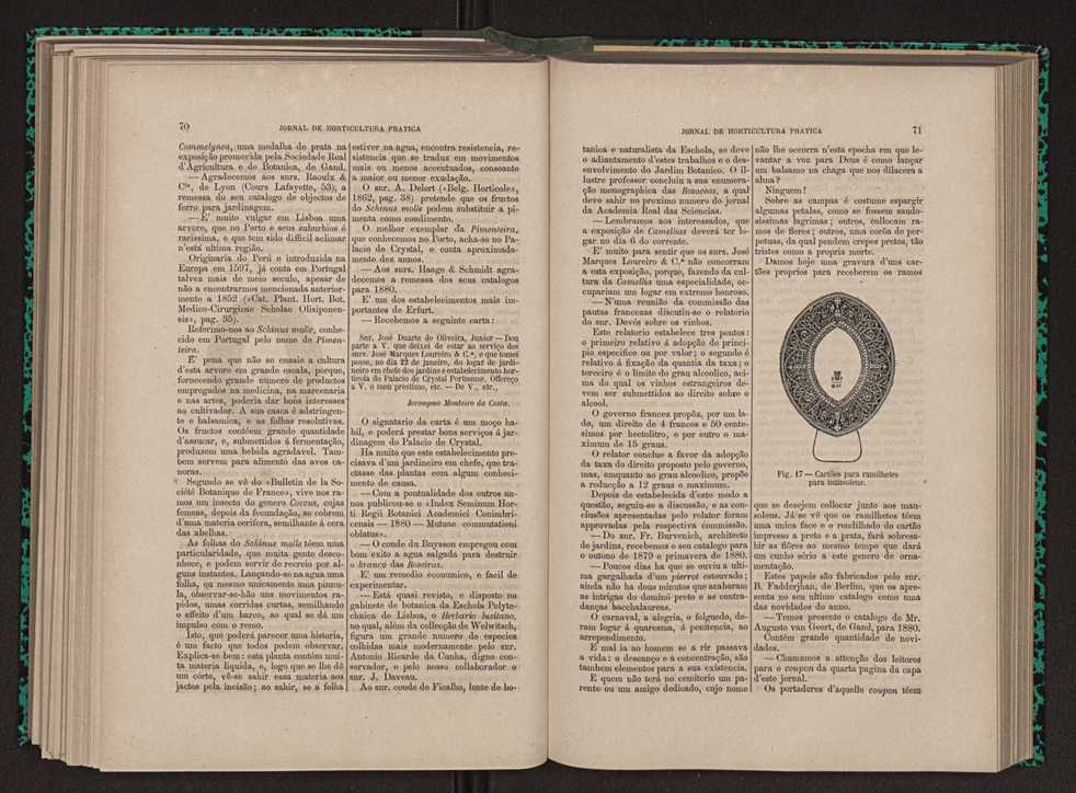 Jornal de horticultura prtica XI 50