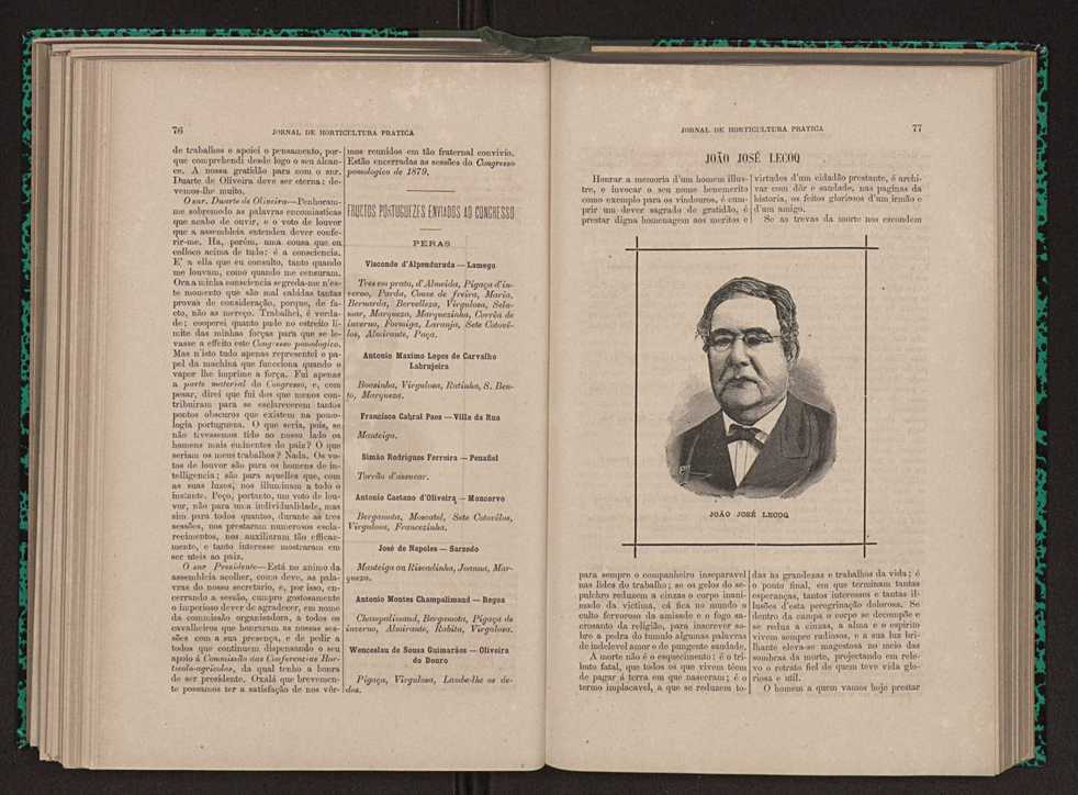 Jornal de horticultura pr�tica XI 53