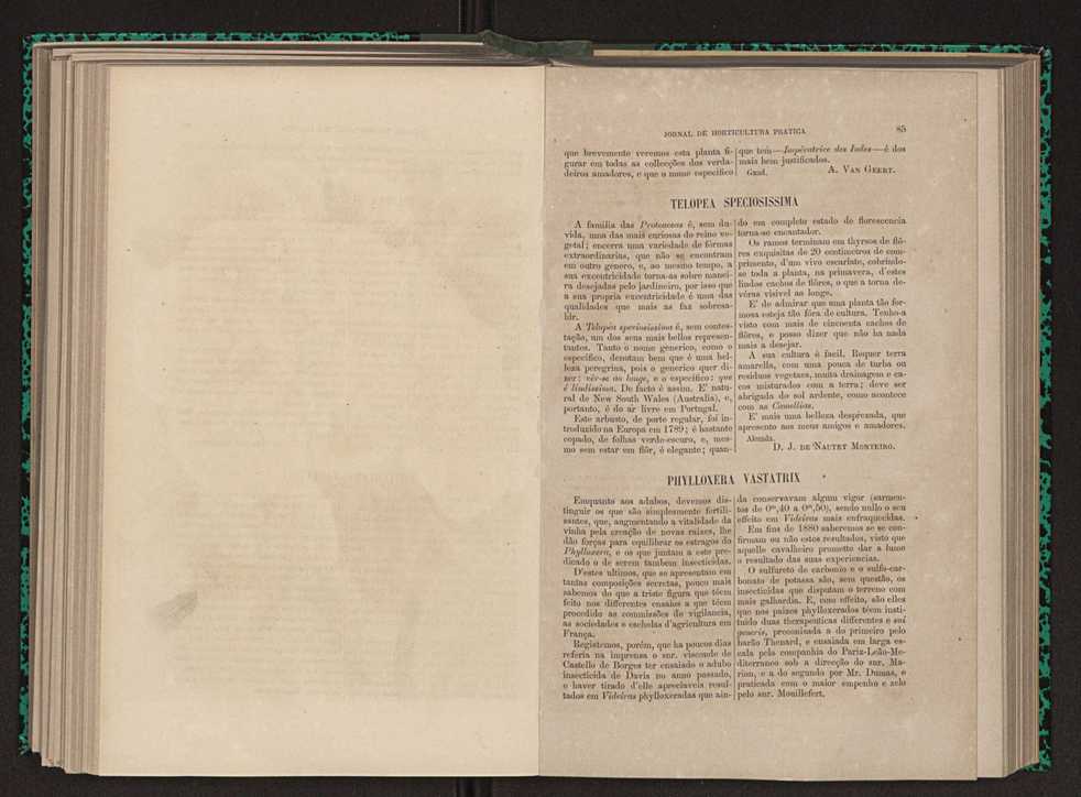 Jornal de horticultura prtica XI 59