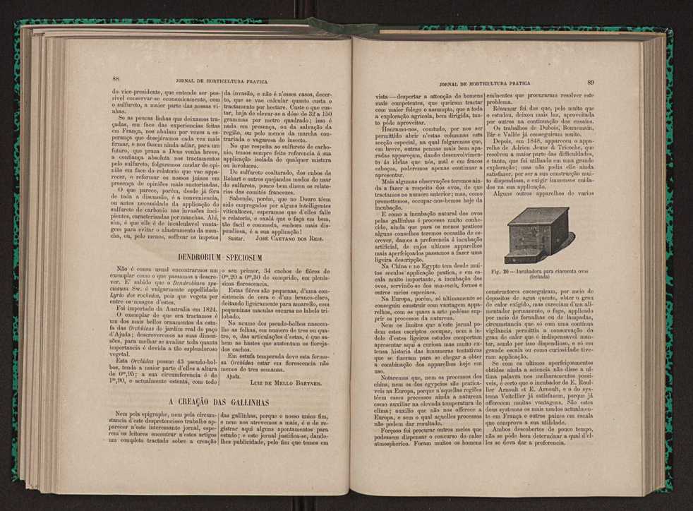 Jornal de horticultura prtica XI 61