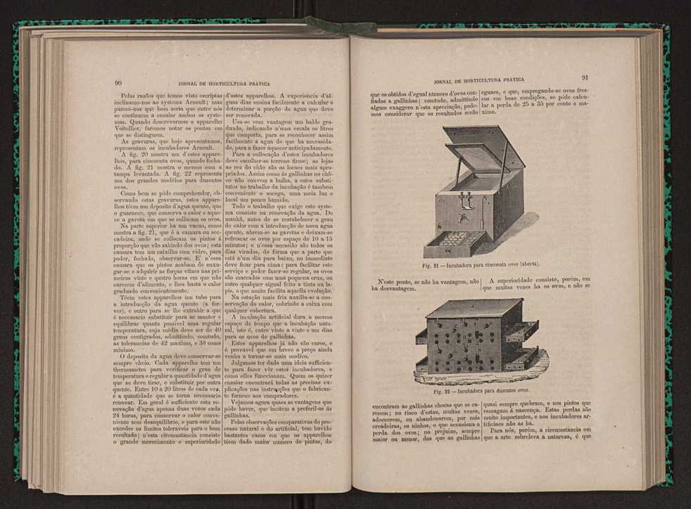 Jornal de horticultura prtica XI 62