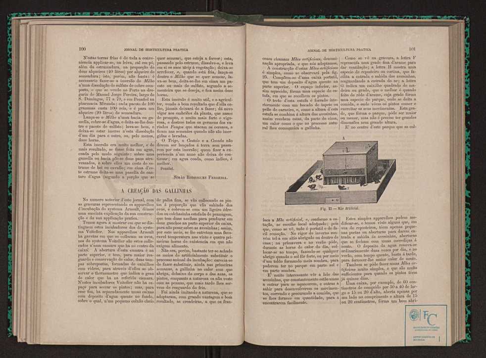 Jornal de horticultura prtica XI 67