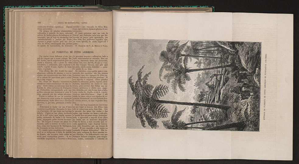 Jornal de horticultura prtica XI 69