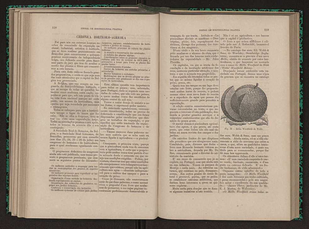 Jornal de horticultura prtica XI 77