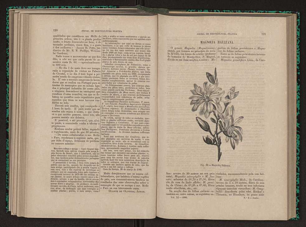 Jornal de horticultura pr�tica XI 78