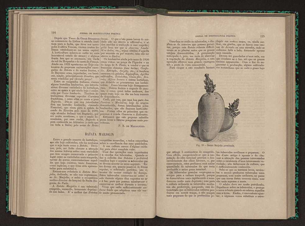 Jornal de horticultura prtica XI 80