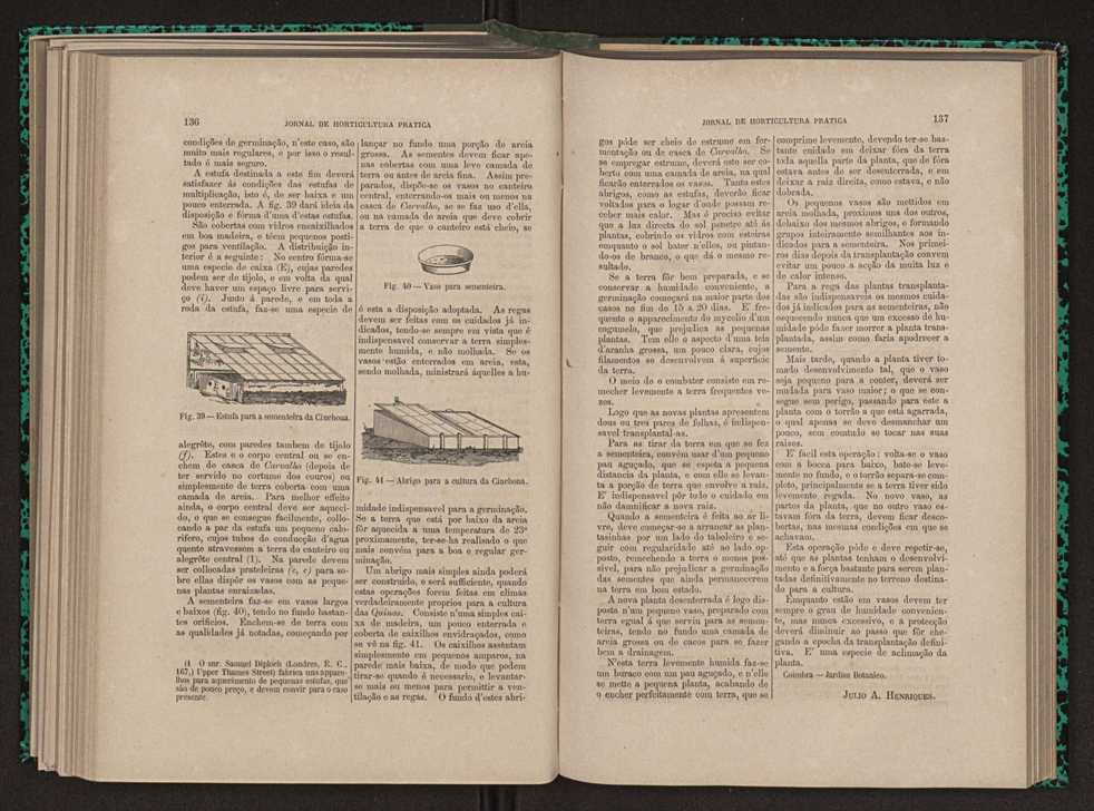 Jornal de horticultura prtica XI 87