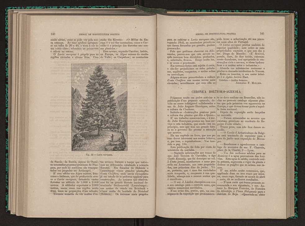 Jornal de horticultura prtica XI 89
