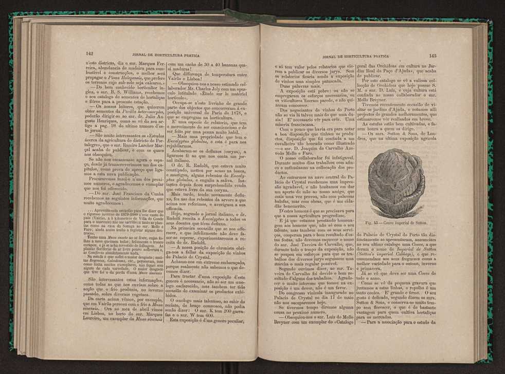 Jornal de horticultura prtica XI 90