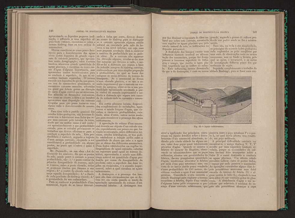 Jornal de horticultura prtica XI 92