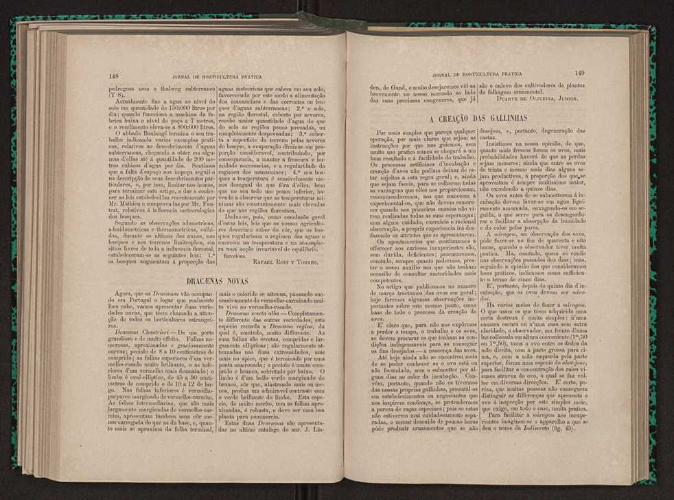 Jornal de horticultura prtica XI 93