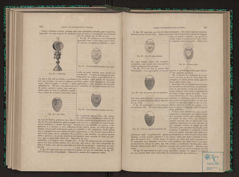 Jornal de horticultura prtica XI 94