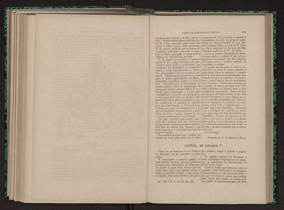 Jornal de horticultura prtica XI 96