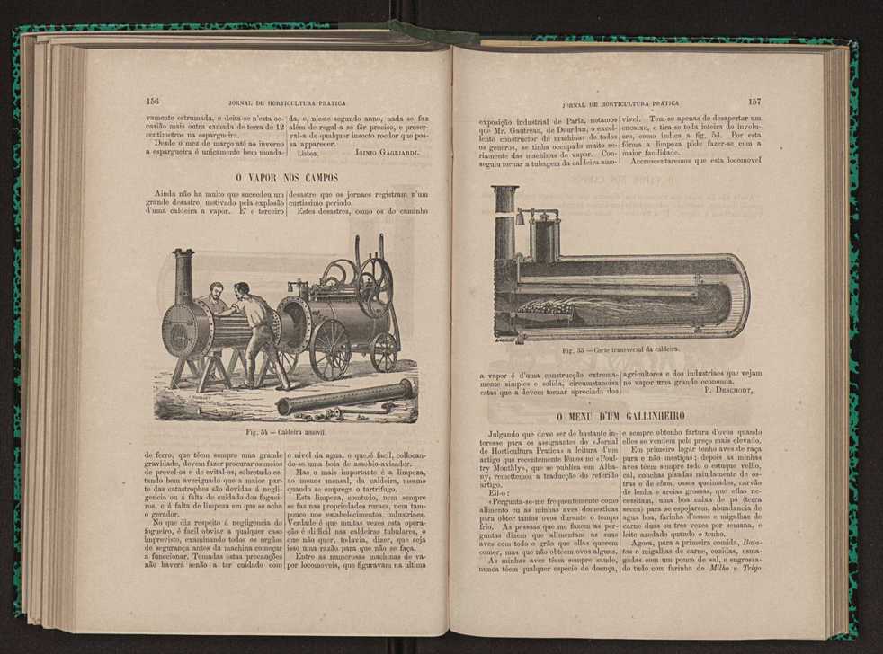 Jornal de horticultura prtica XI 98