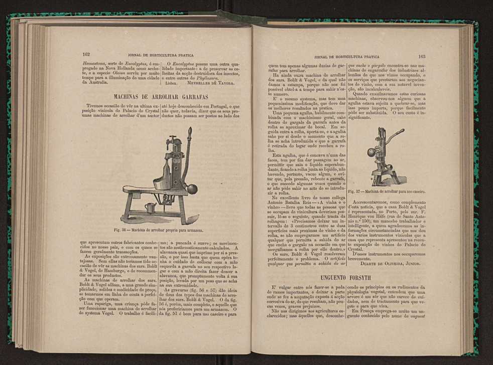 Jornal de horticultura prtica XI 101