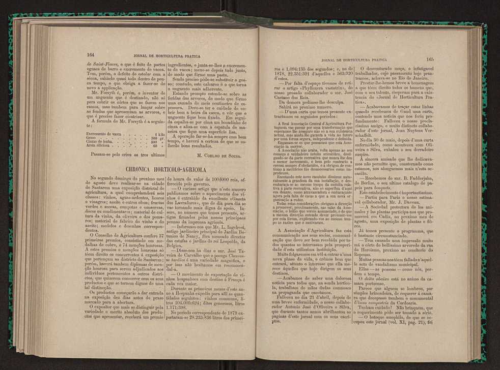 Jornal de horticultura prtica XI 102