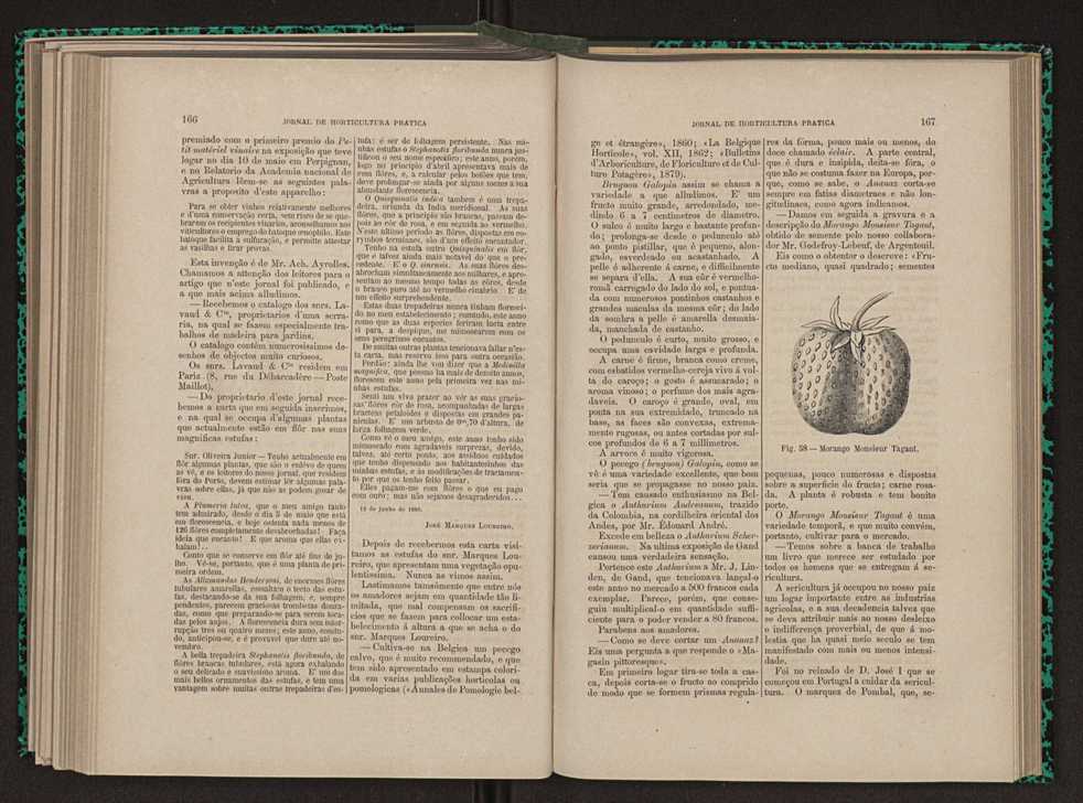 Jornal de horticultura prtica XI 103