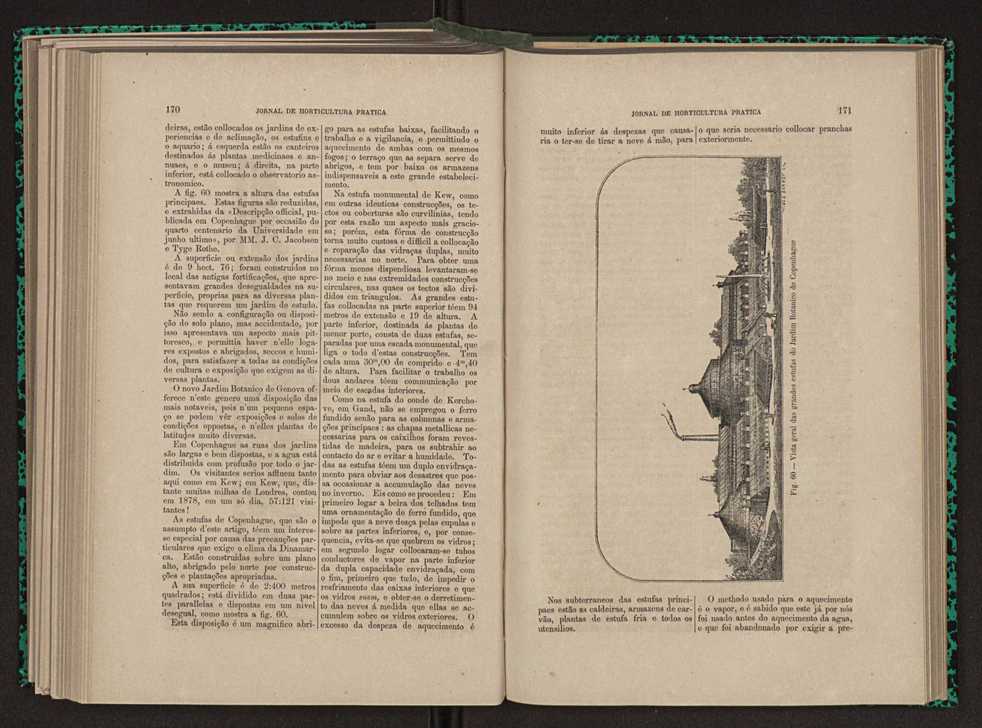 Jornal de horticultura prtica XI 105