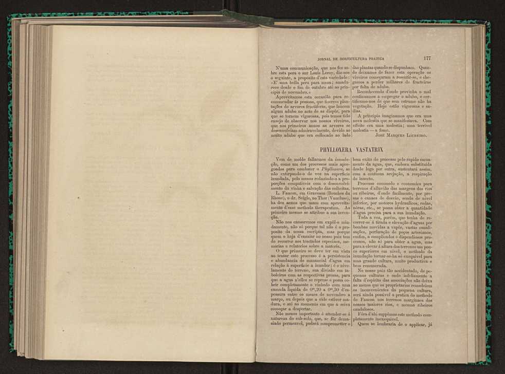 Jornal de horticultura prtica XI 110