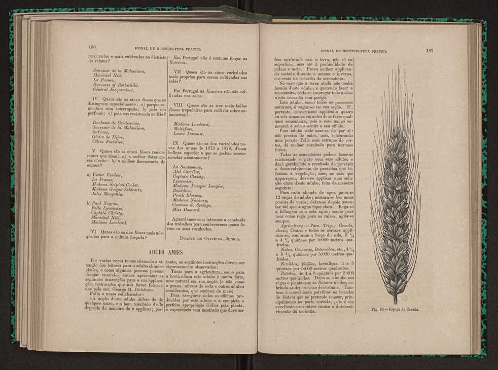 Jornal de horticultura prtica XI 115